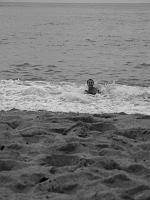 Martinique2003 040 